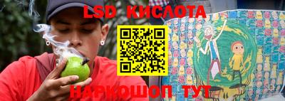 гашик Кимры