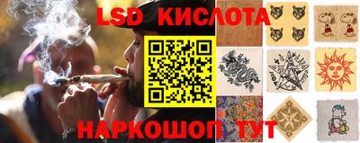 гашик Кимры