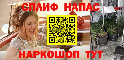 гашик Кимры