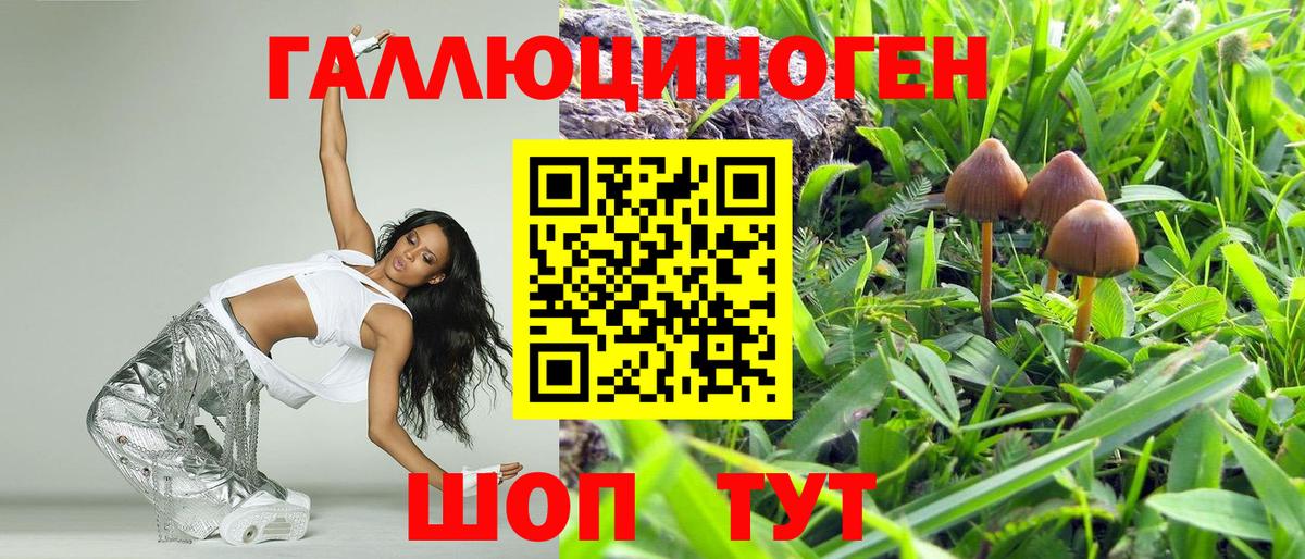 Псилоцибиновые грибы Magic Shrooms  Галлюциногенные грибы GOLDEN TEACHER  Вход с VPN  Красный Сулин 